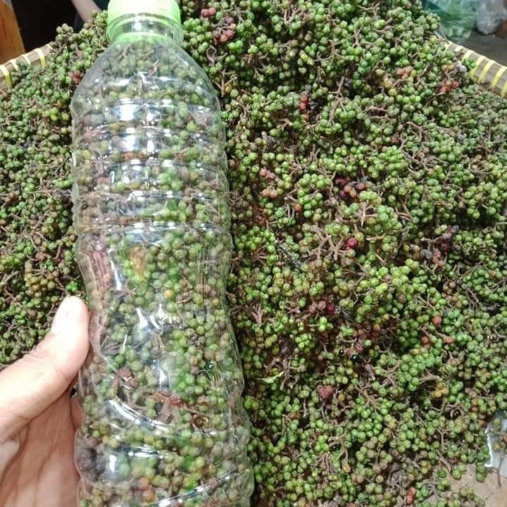 

Andaliman Fresh (Rempah Mahal yang Terlupakan) 500 gr