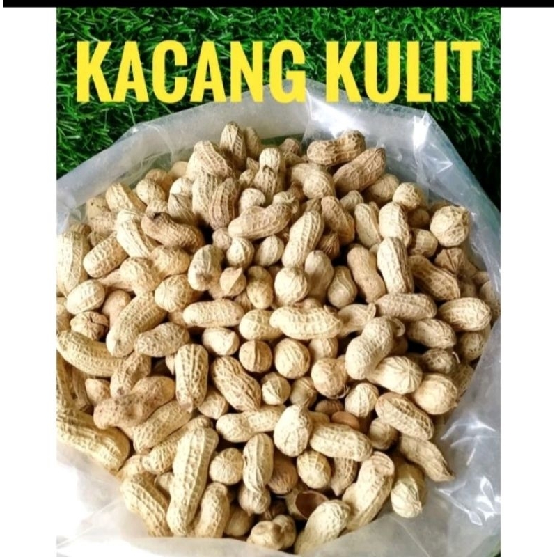 

kacang kulit homemade