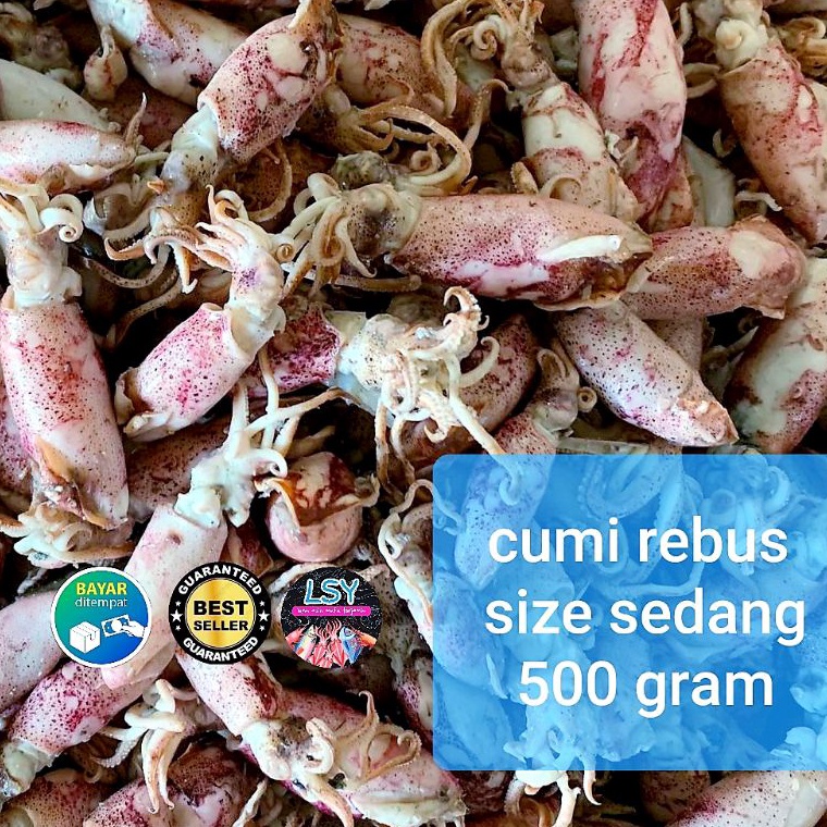 

NED486 XPRESS ikan asin Cumi rebus sotong rebus size sedang 5gr