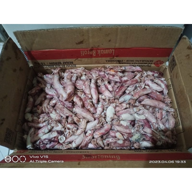 

Asin Cumi 100gr