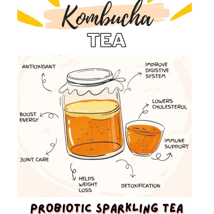 

KOMBUCHA MINUMAN SEHAT DIET