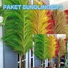Home Decor Rayung Kering isi 3 / Rayung Panjang / Rayung Natural / Rayung Rustic / Dekorasi Rayung