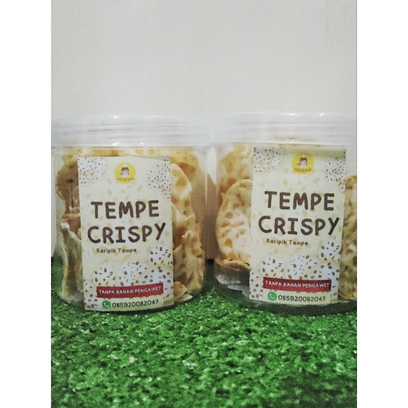 

keripik tempe crispy/ keripik vegetarian / keripik tempy anak anak dewasa