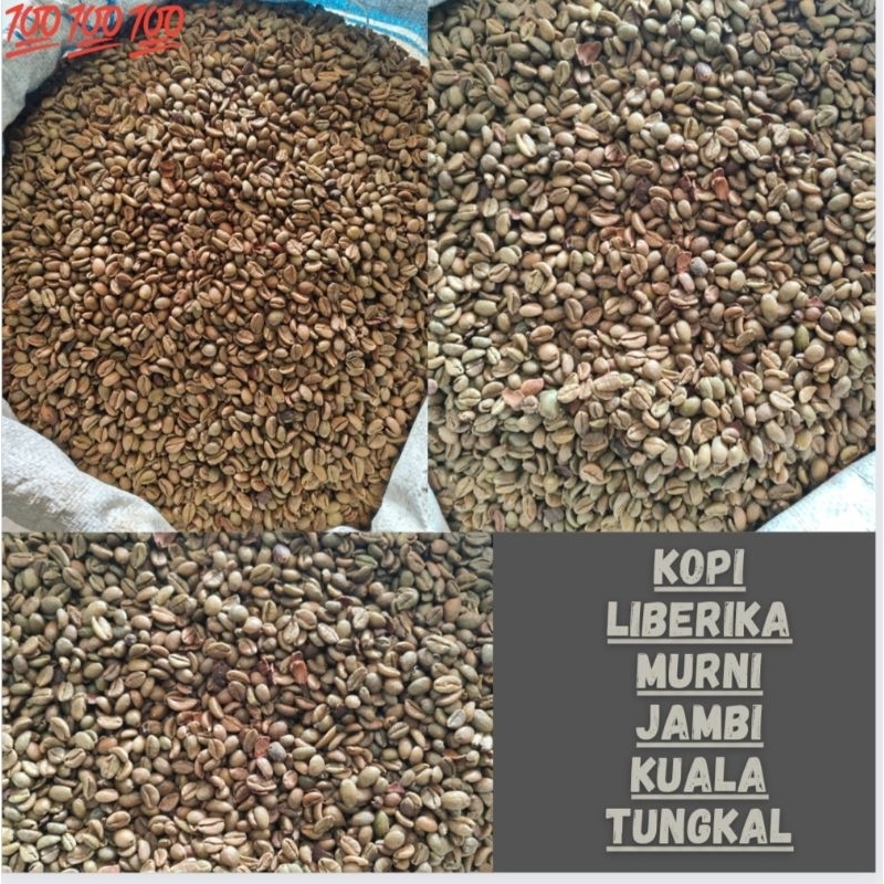 

Kopi Liberika Jambi Grade A