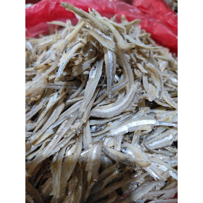 

Ikan Teri Jengki Bulet