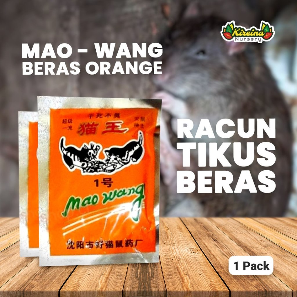 Mao Wang Racun Tikus Beras Orange