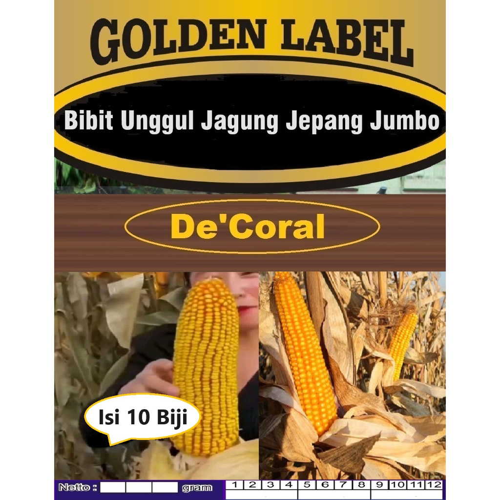 Bibit Unggul Jagung Jepang Jumbo | Biji Benih Jagung Jepang Raksasa