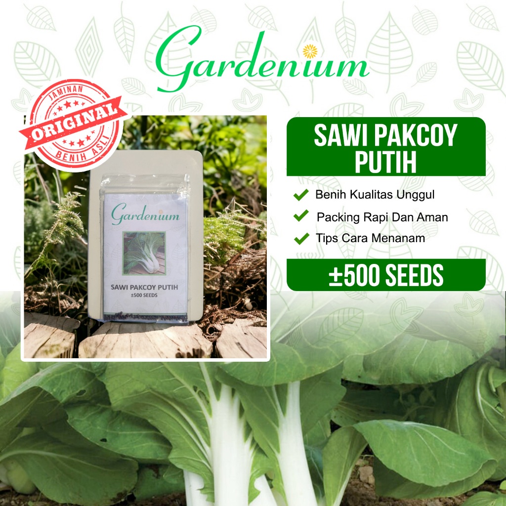 GARDENIUM Benih Sawi Pakcoy Putih Bok Choy Batang Putih Sayuran Unggul