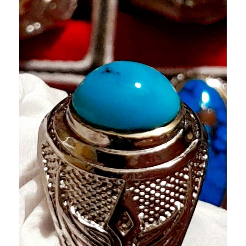 Pirus Persia polosan gradasi biru