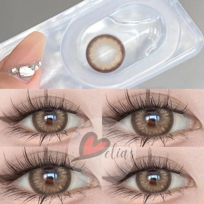 Softlens Premium Brown Terbaru Royal 14.5 MM | Softlens Membuat Kulit Cerah Bersinar | Softlens Tasy