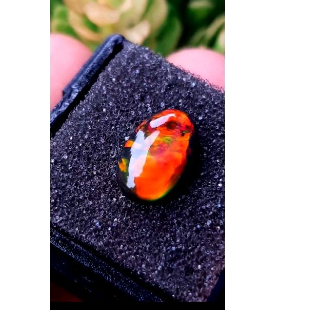 kalimaya black opal ethiopia