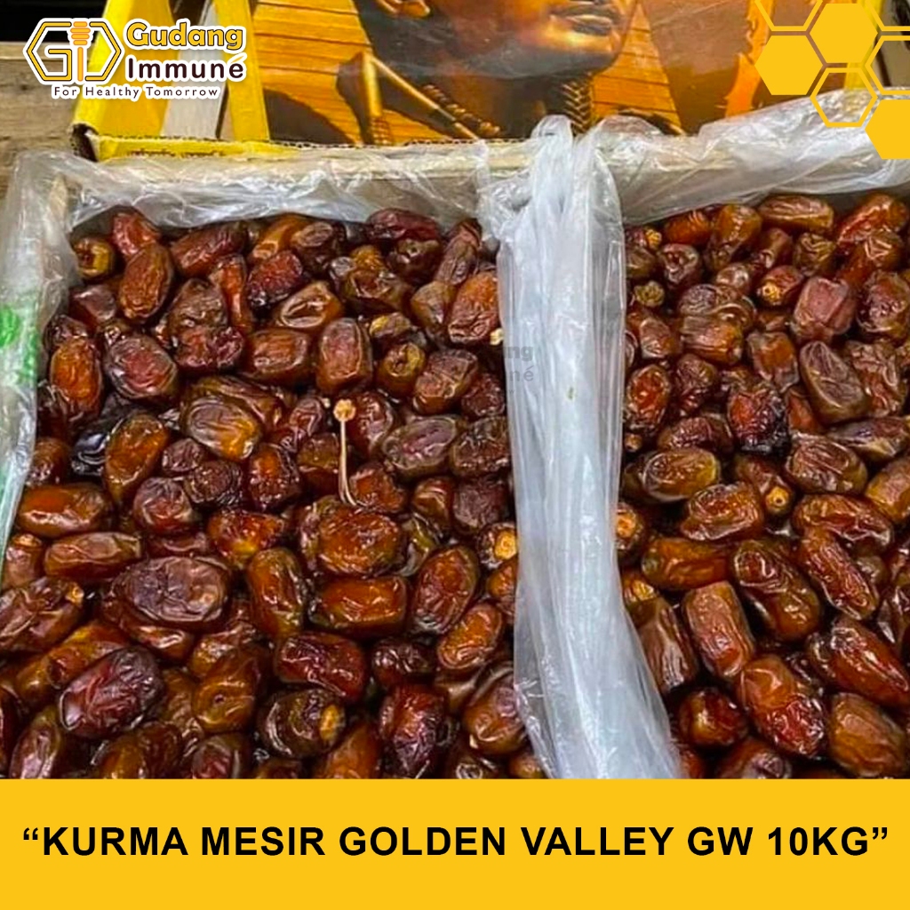 

Kurma Mesir Golden Valley GW 10kg