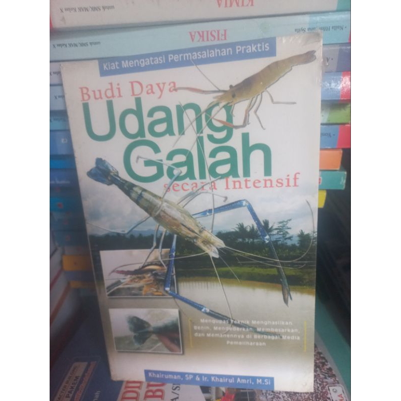 

Budidaya Udang Galah