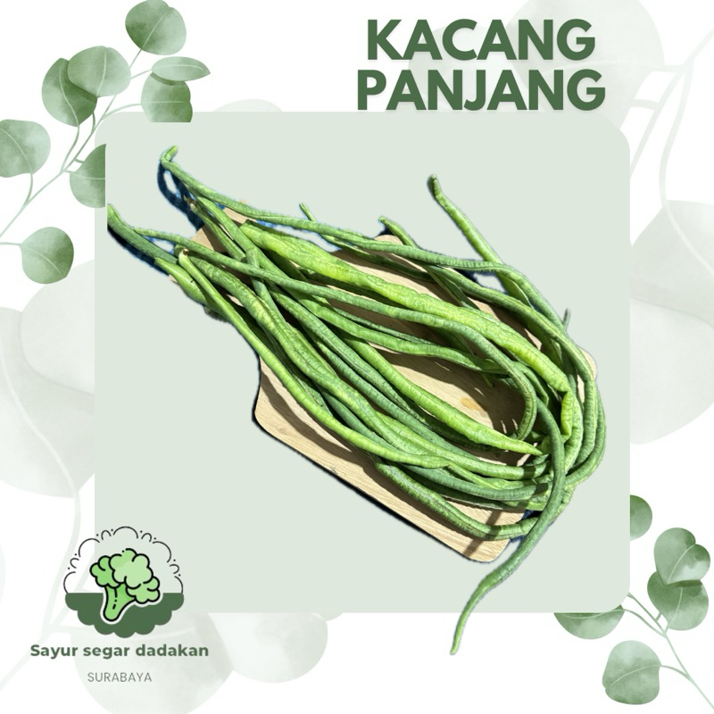 

KACANG PANJANG SEGAR
