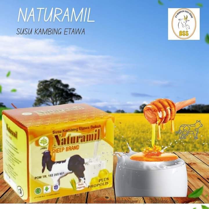 

SUSU KAMBING ETAWA NATURAMIL PLUS PROPOLIS 10 SACHET