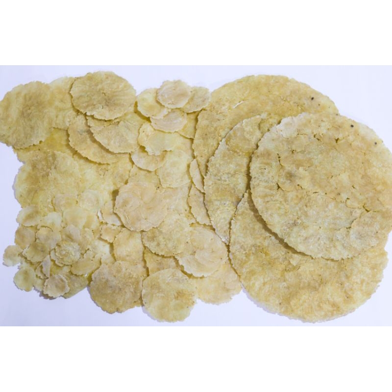 

EMPING MELINJO MENTAH UKURAN KECIL/MLINJO/EMPING MENTAH/KERUPUK EMPING/KERIPIK MLINJO/MELINJO MENTAH KHAS TULUNGAGUNG