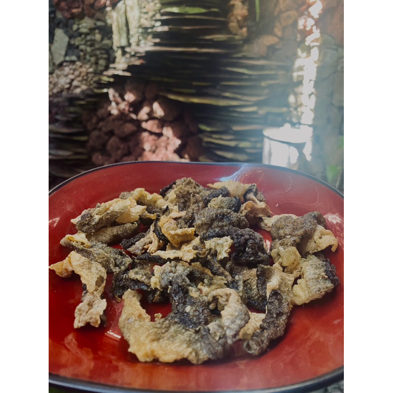 

KERIPIK KULIT IKAN SALMON