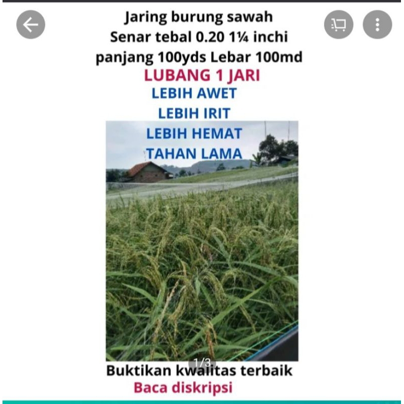 JARING BURUNG SAWAH LUBANG 1 JARI / JARING BURUNG EMPRIT /JARING BURUNG PIPIT/ JARING PADI/ JARNG PA
