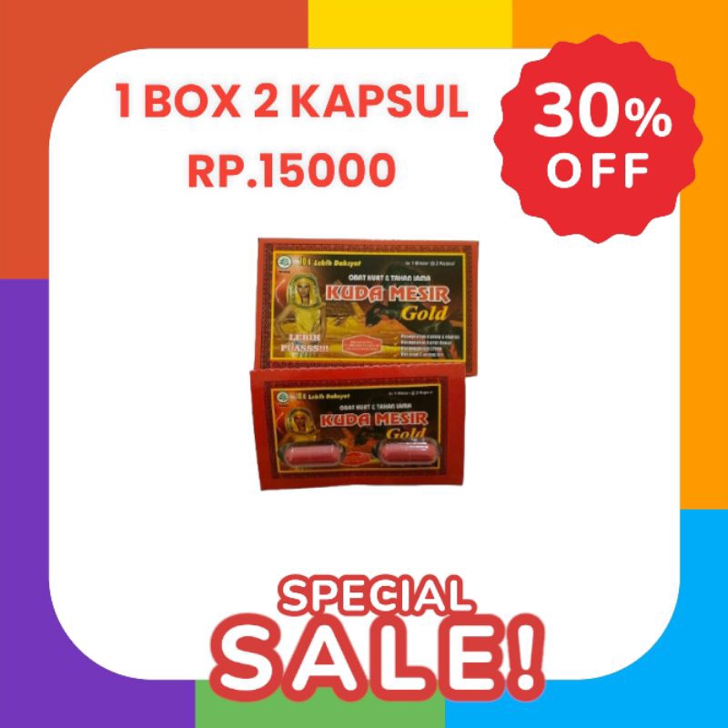 kuda mesir gold eceran