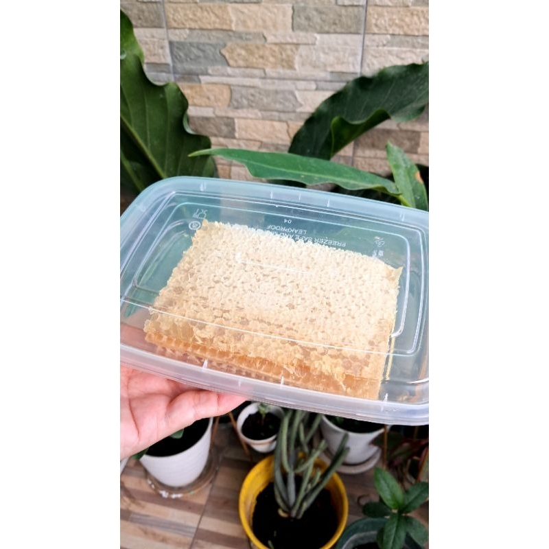 

[500gr] Madu Sarang Melifera Premium Asli