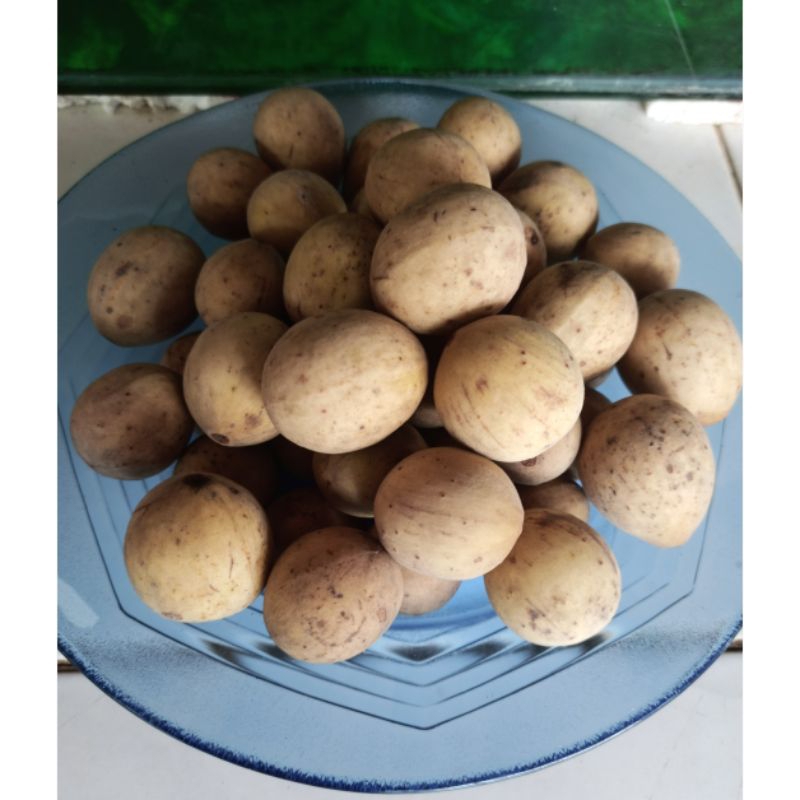 

Buah dukuh matang di pohon manis 1 kg