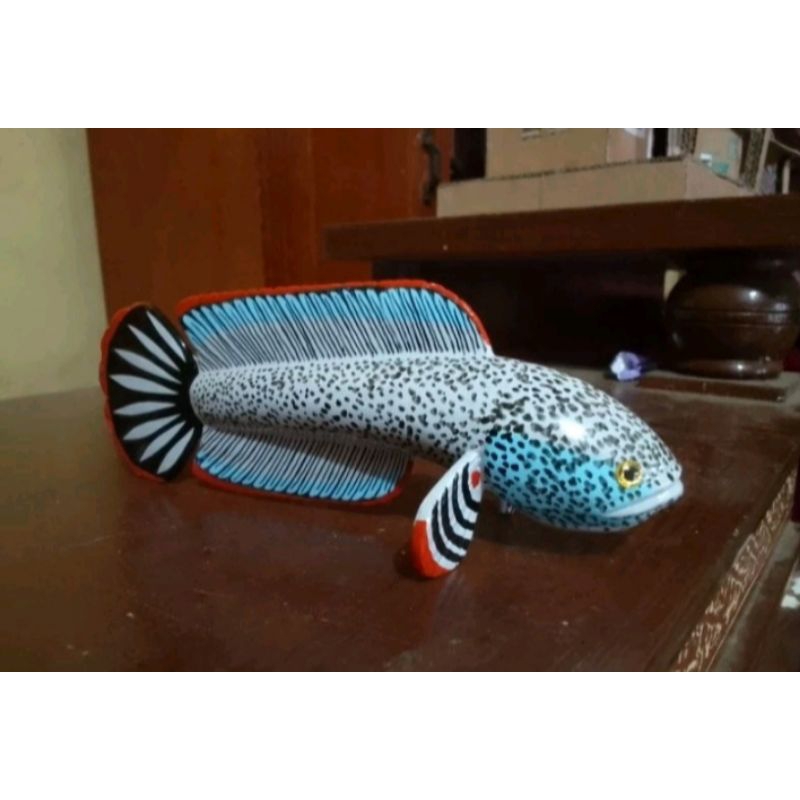 

Patung limbata cb 10-11