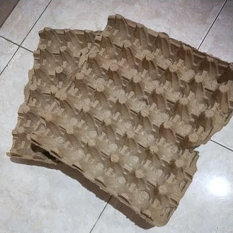 tray telur karton / tatakan telur karton bekas