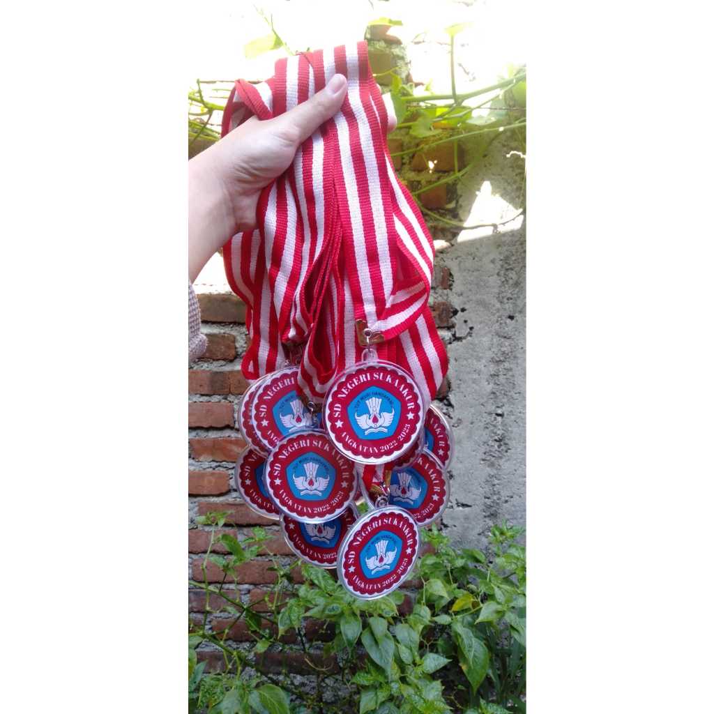 

Medali Kelulusan/Medali Sekolah Custom
