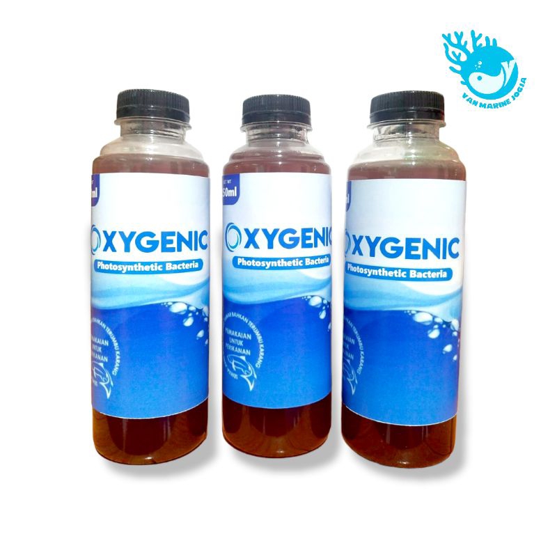 Oxygenic probiotik Bakteri starter 250ml
