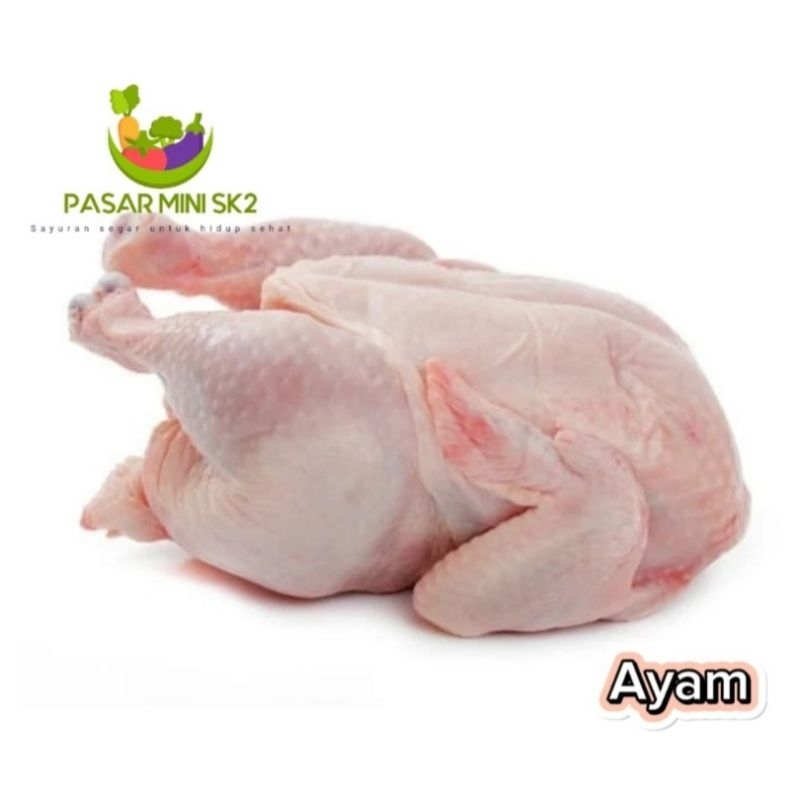 

Ayam segar 1/2kg