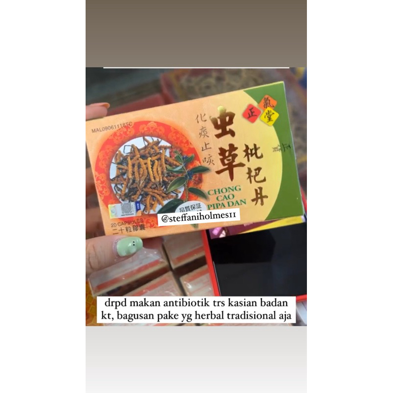 chong cao pipa dan obat batuk herbal malaysia penang viral asma menghilangkan dahak