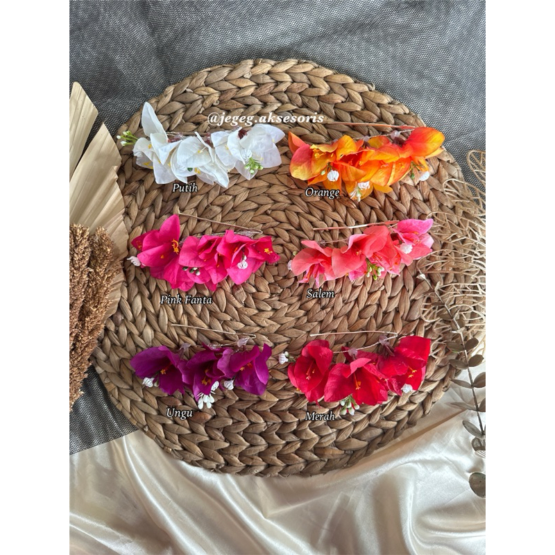 Semanggi Kembang Kertas / Semanggi Bougenville / Semanggi Bunga