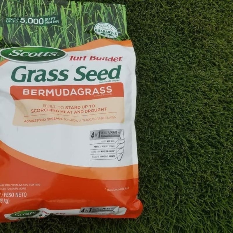 Biji rumput grass seed / benih rumput bermuda grass 2kg