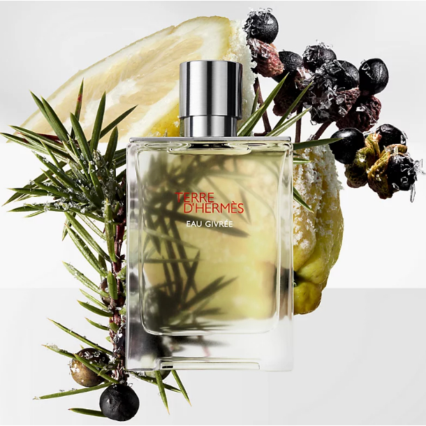 PARFUM PRIA TERRE D'HERMES [ 100ML ]