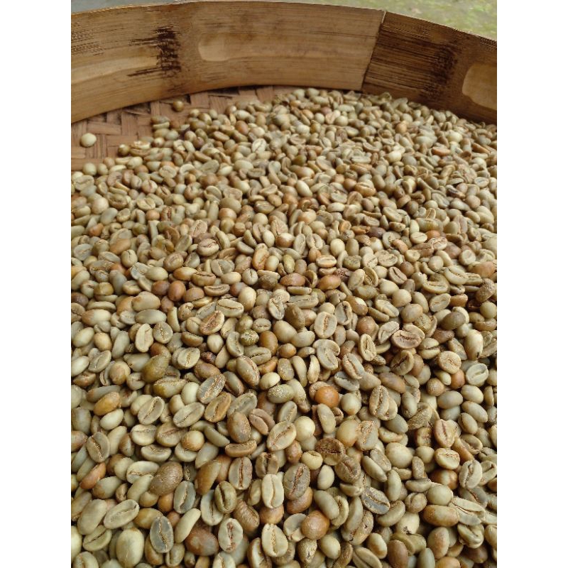 

green beans kopi arabika gunung agung bali