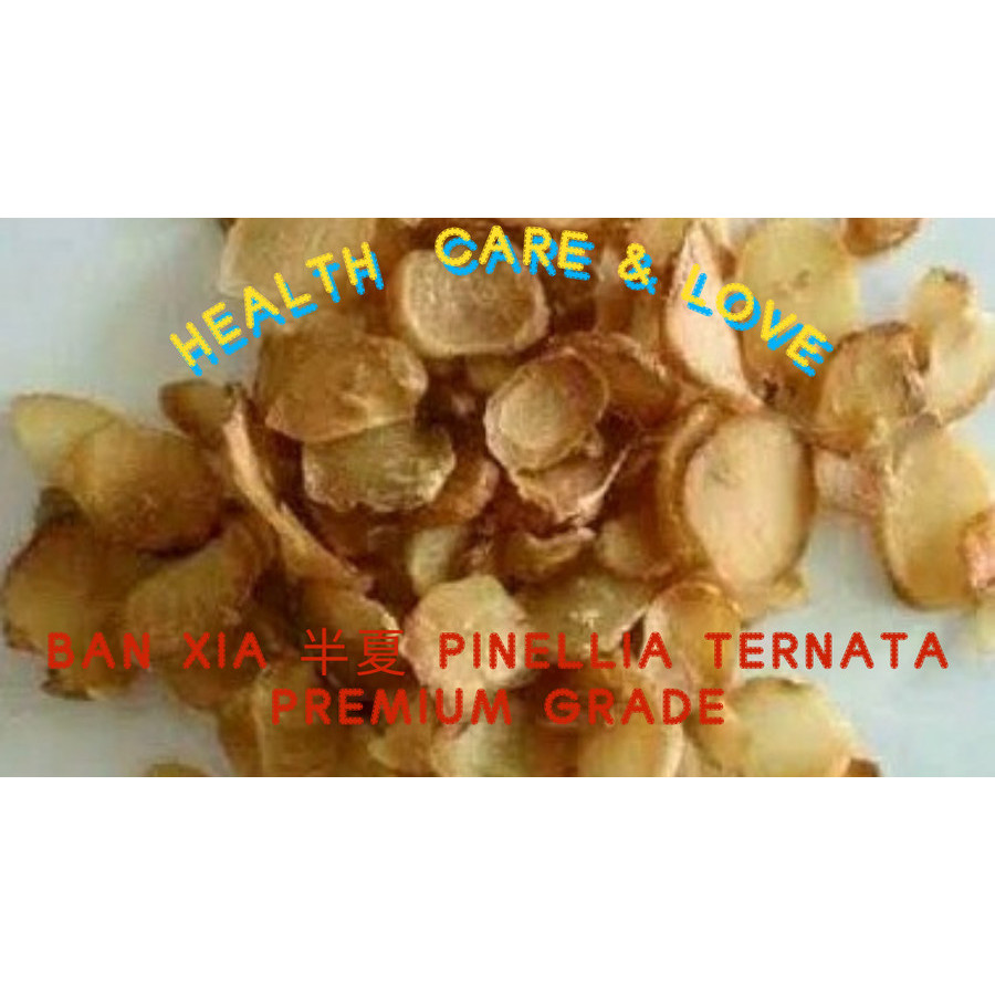 

Ban Xia 半夏 Pinellia Ternata Premium Grade 50 Gram