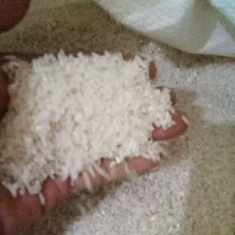 beras organik mapan 05 pulen dan wangi per 1 kg