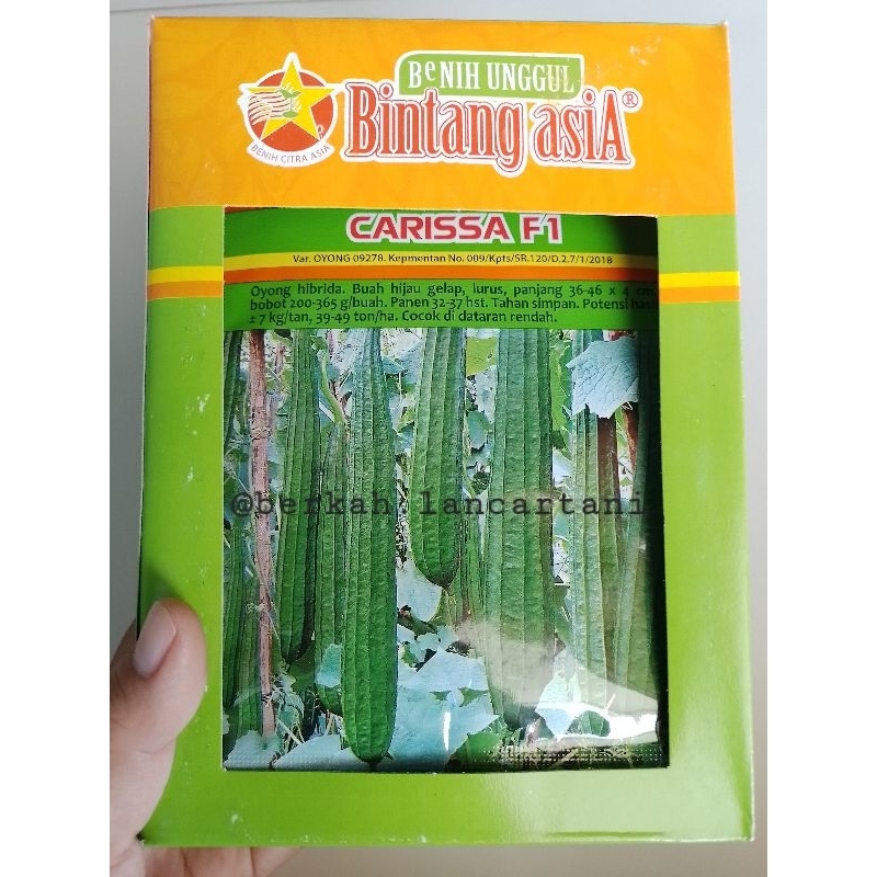 Carissa F1 Bibit Benih Oyong Bintang Asia 100% Original