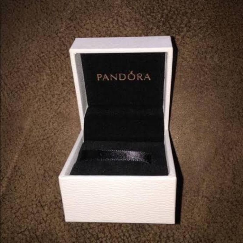 Kotak charm atau cincin Pandora