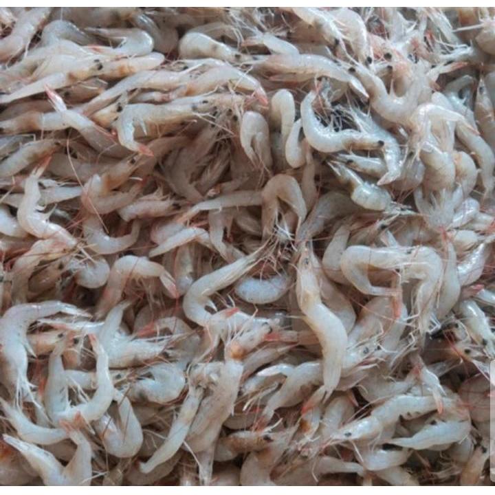 

Udang Vannamei Mr.Cakalang/ Udang Tambak/ Udang Putih Undersize/ Udang Sehat/ Makan Udang/ Gemar Makan Ikan/ Udang Segar / Udang Beku