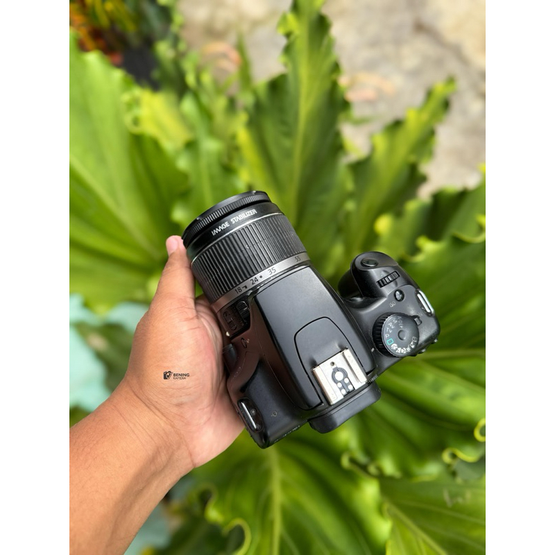 canon 1000D