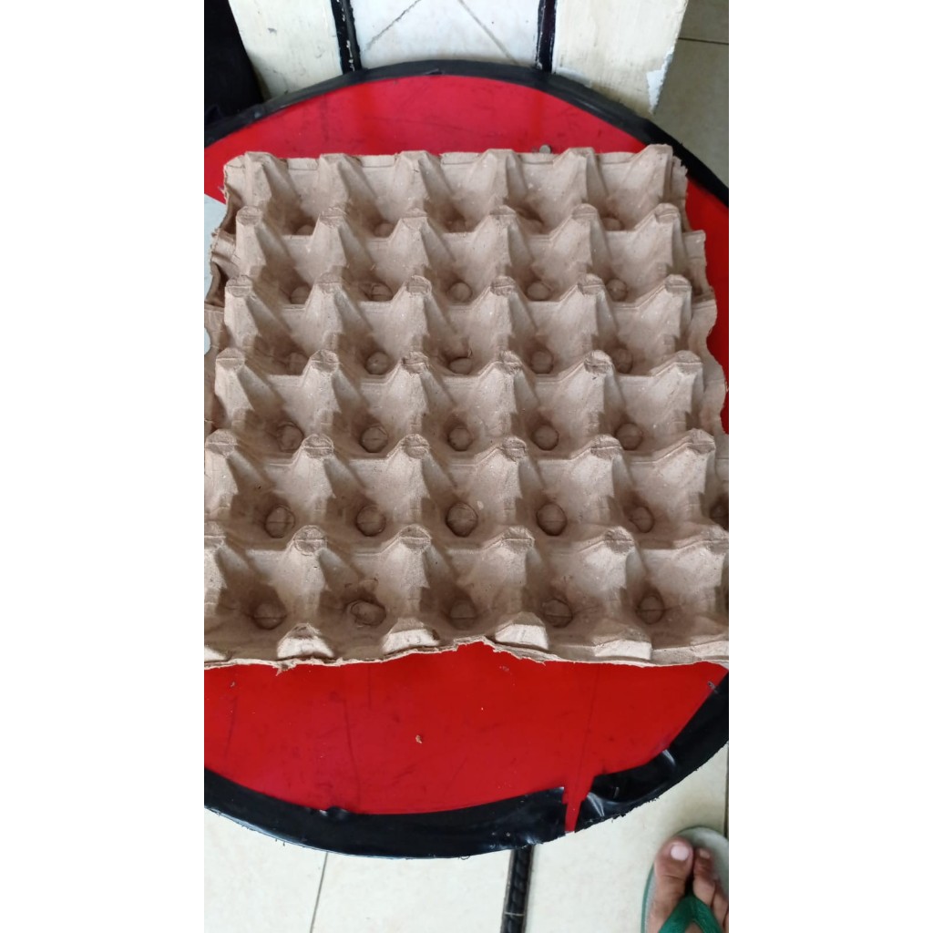 Egg Tray Karton Kertas Tempat Telur Telor Ayam Bekas Second Bagus 30 cm x 30 cm