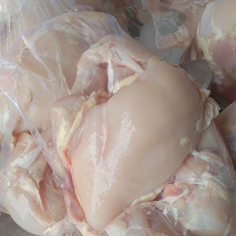 

Ayam dada filet fresh dan Frozen 500gr