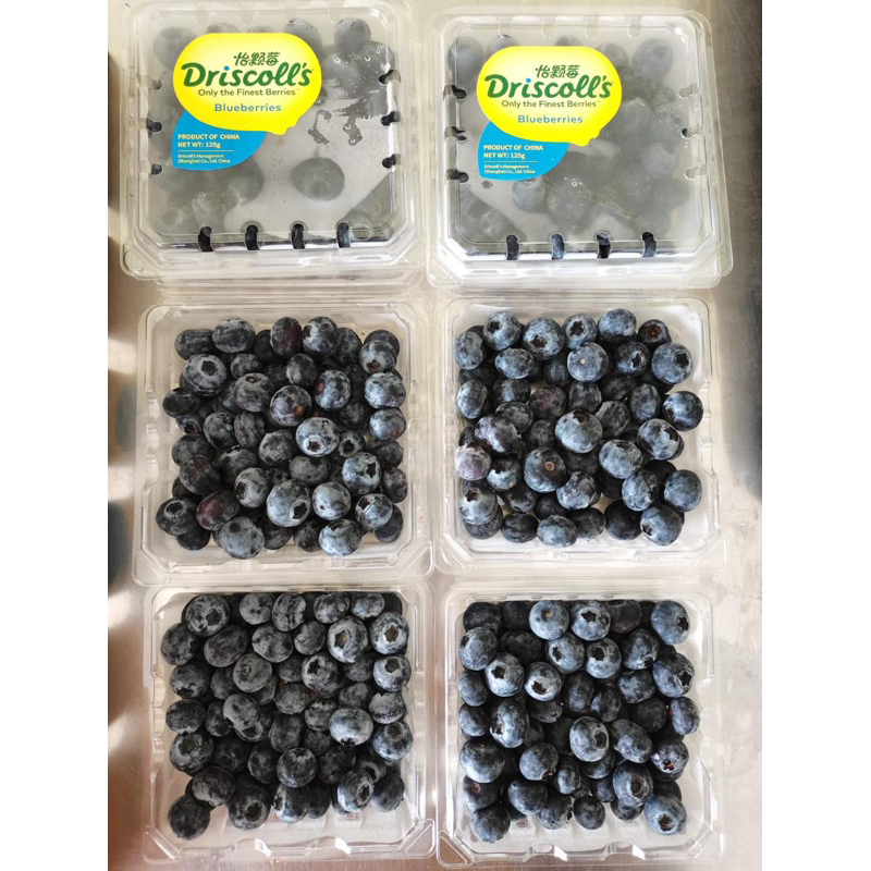 

Blueberry Driscoll's Australia Berat 125 gram /pack