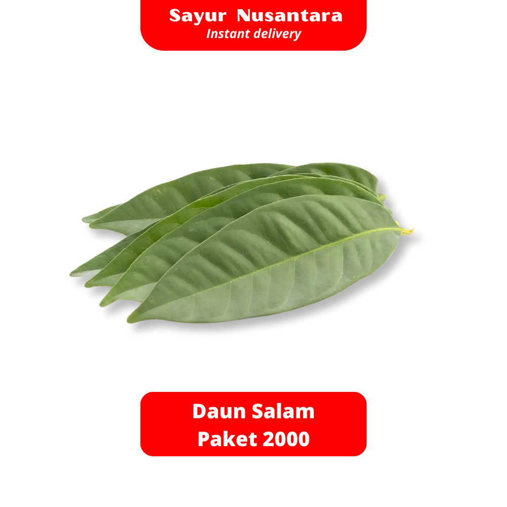 

Daun Salam Fresh Paket 2000 - Sayur Nusantara