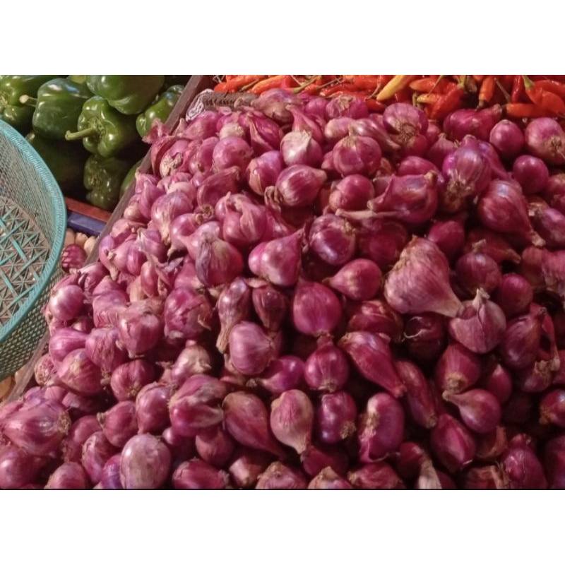 

bawang merah 10kg