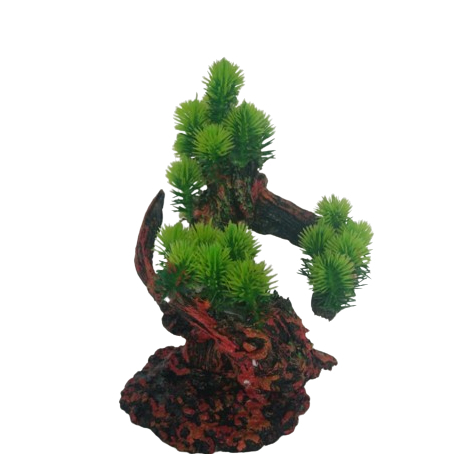 hiasan akuarium bonsai cemara besar