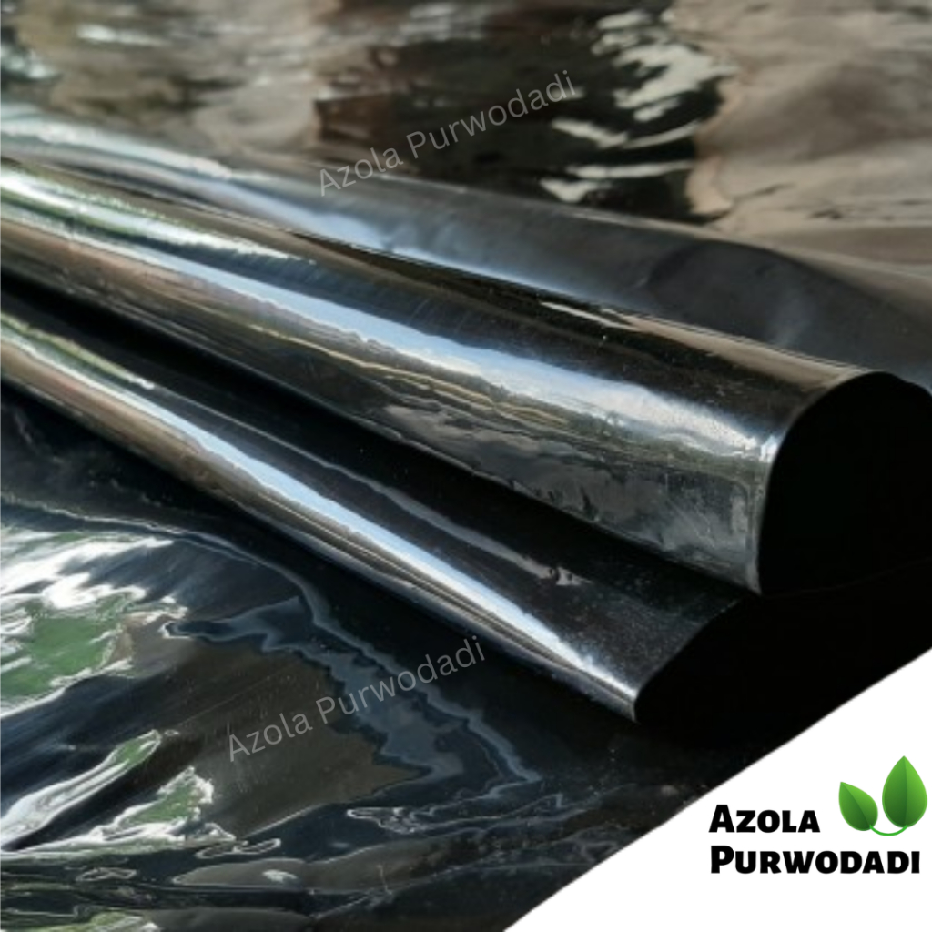 Plastik UV Hitam 100 micron Lebar 4 meter X Panjang 2,5 meter Untuk Kolam/Tambak