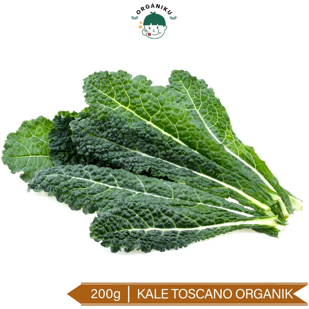 

Paling Popular Kale Toscano Organik 2g GGR