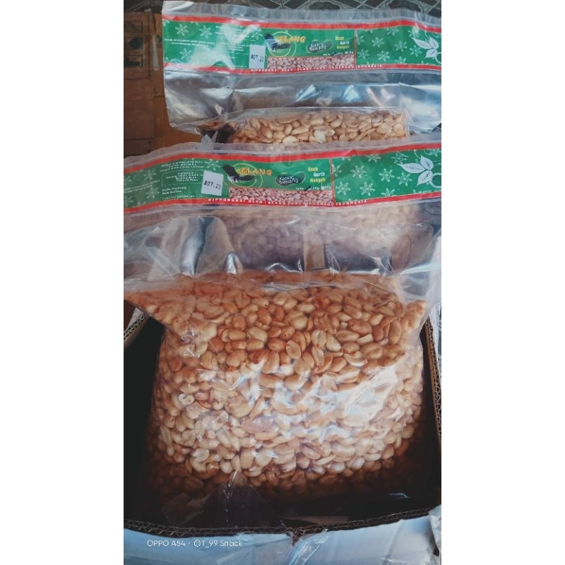 

Kacang bawang 1 bal (2.5kg)